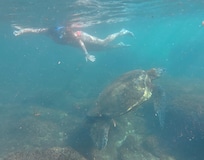 Off the rocks right outside the condo