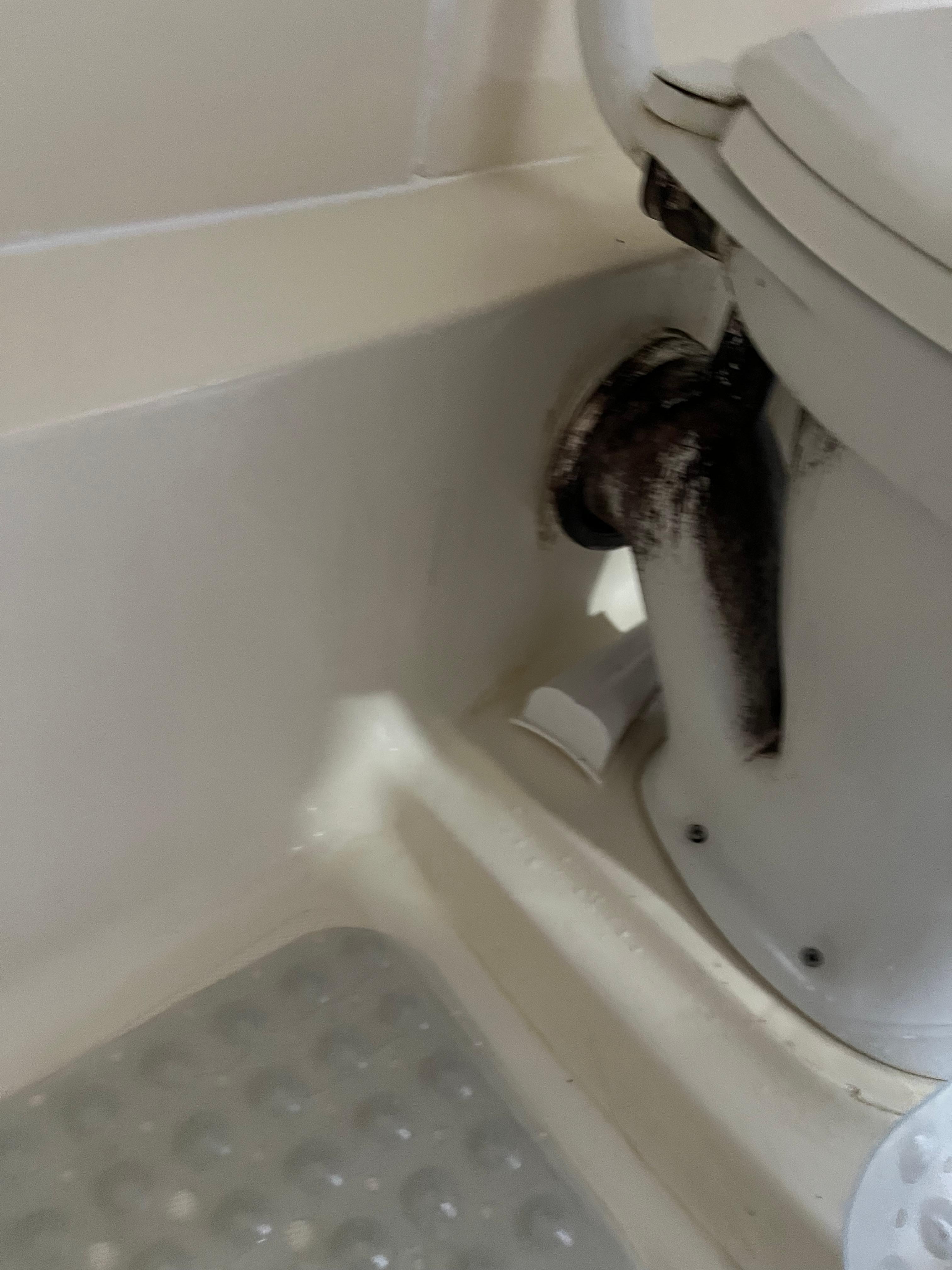 Lo scarico perdeva e le feci finivano ne vani doccia, attaccato alla tazza da come potete vedere dall’altra foto. Vortice cattura aria non funzionante 