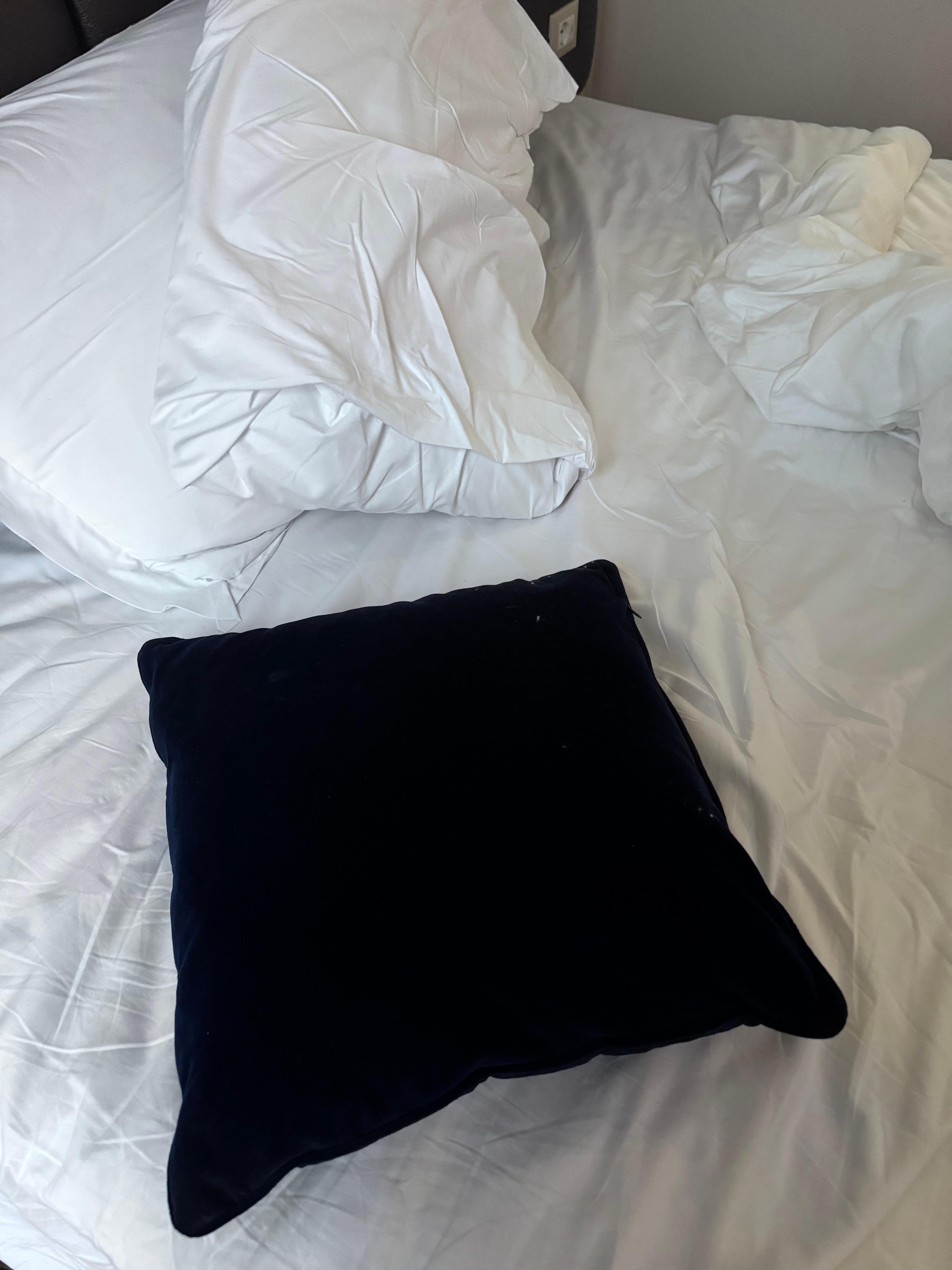 The small blue pillow is what we were provided when we requested extra pillow a day after the request was made.