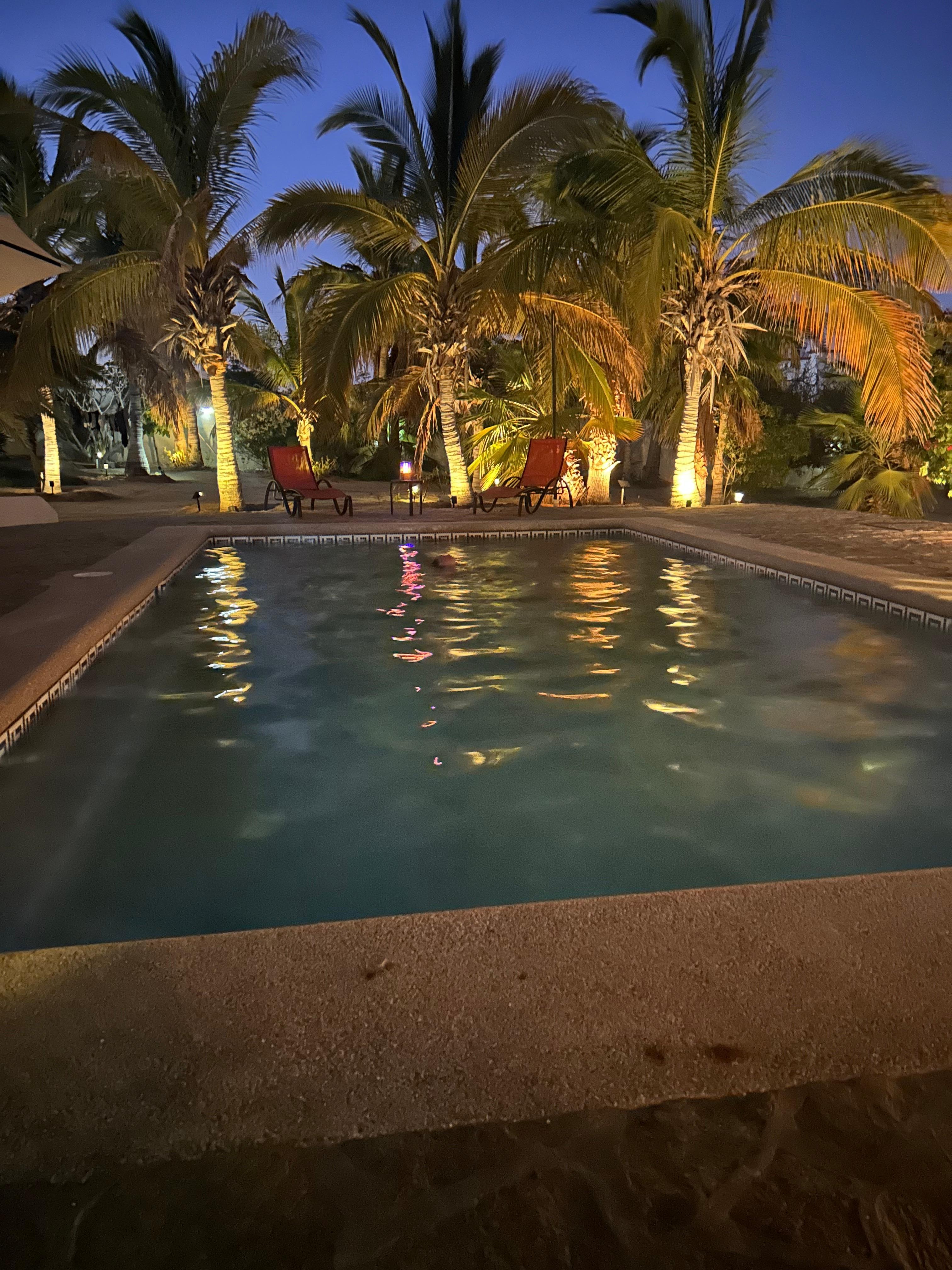 The pool and the yard at night