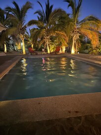 The pool and the yard at night