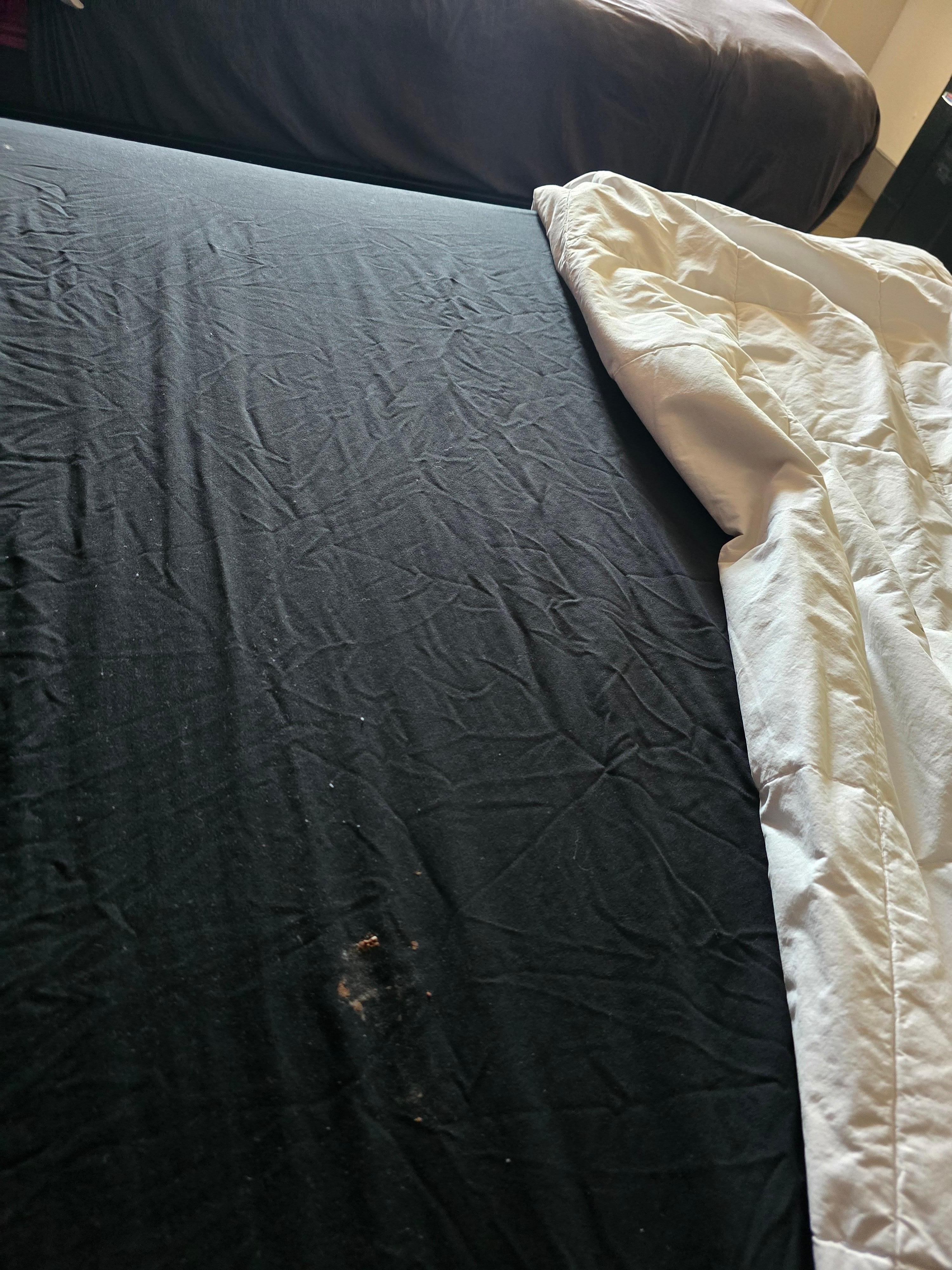 Unknown filth/attempted camo