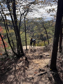 Scenic hikes are easily driven to from the cabin