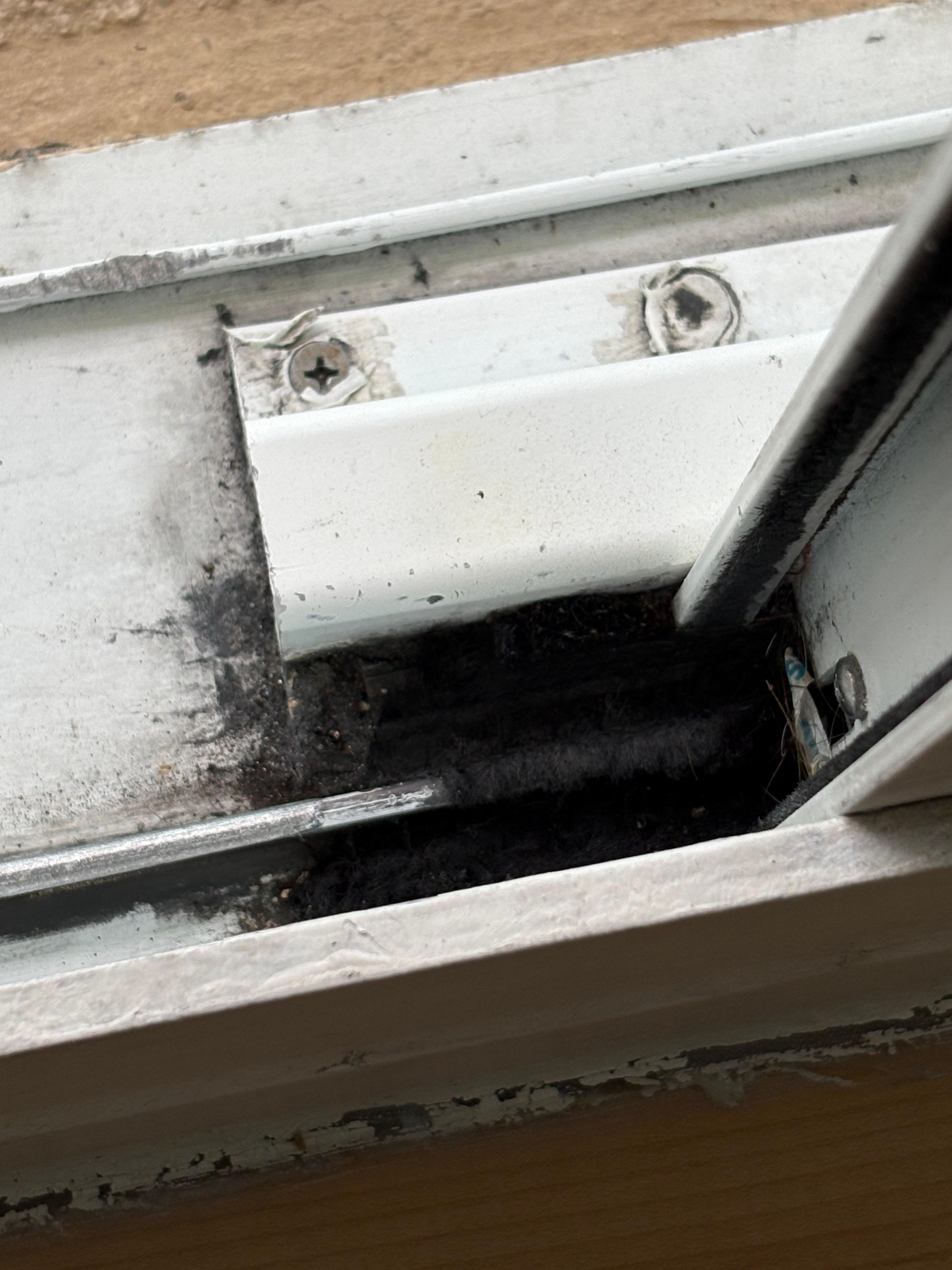 Large black mold spot by balcony door.