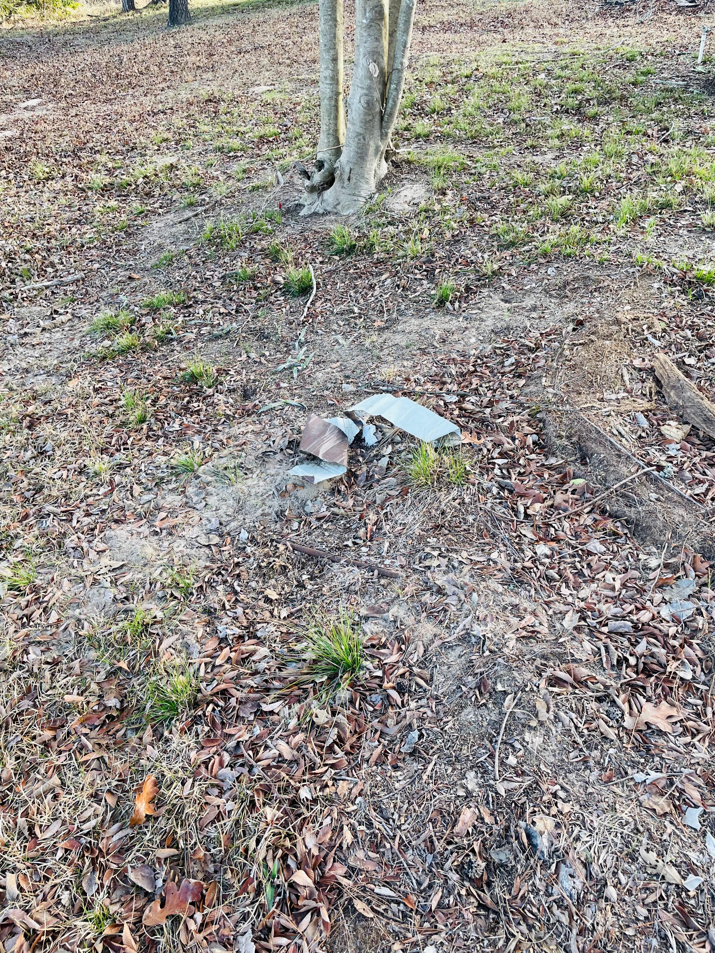 The condition of the property 