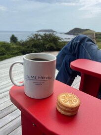 Morning coffee on the deck, looking over the private beach area