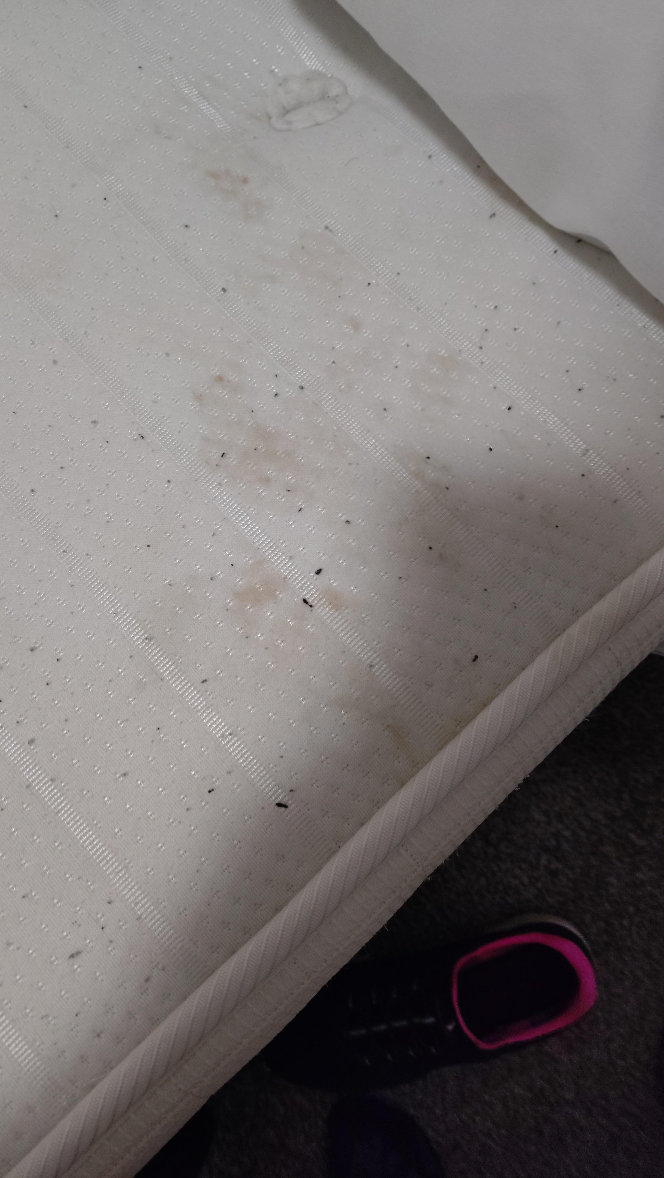 Blood on mattress and no mattress protector 