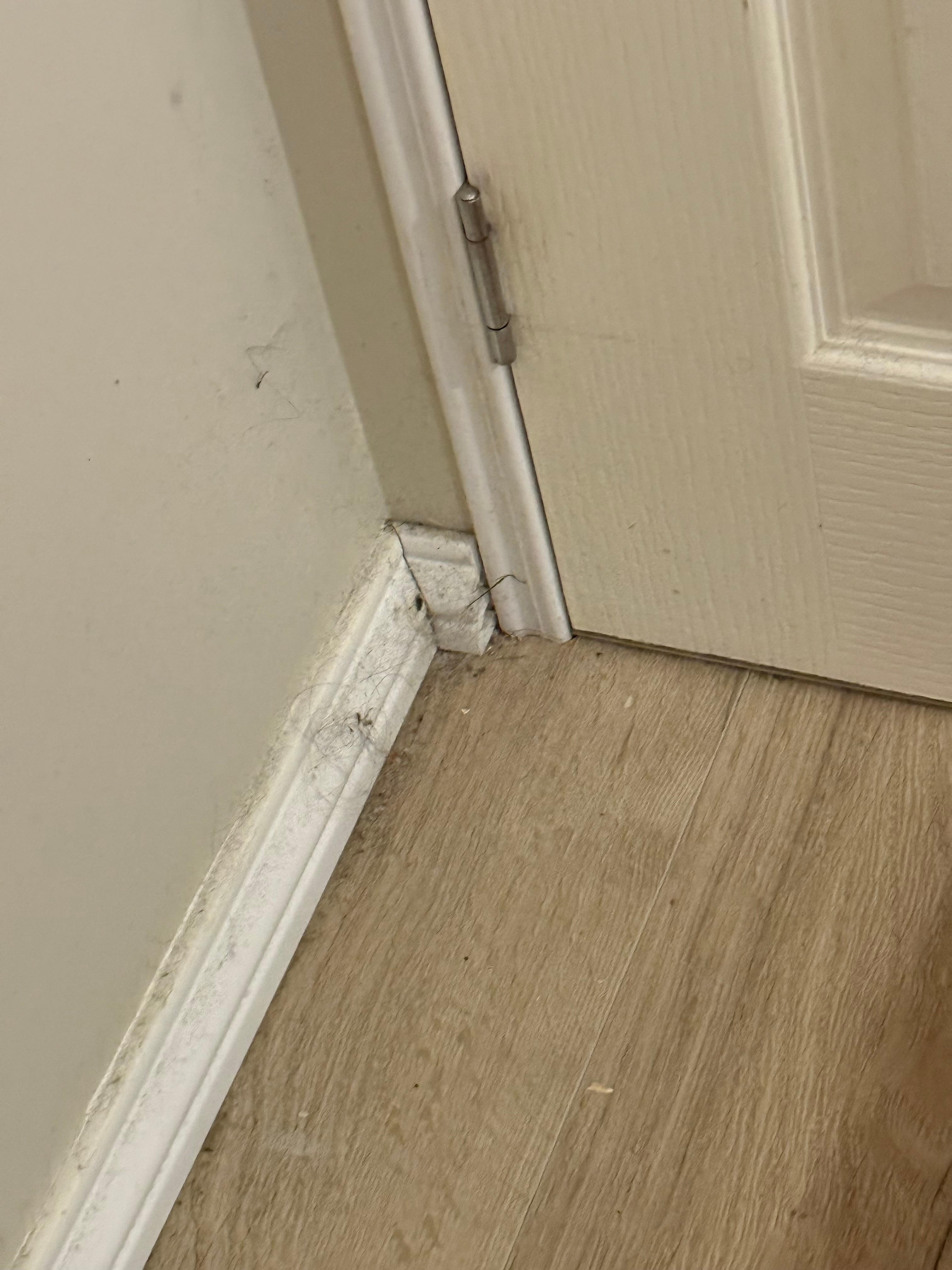 Dirt and dust behind the door in twin bedroom.
