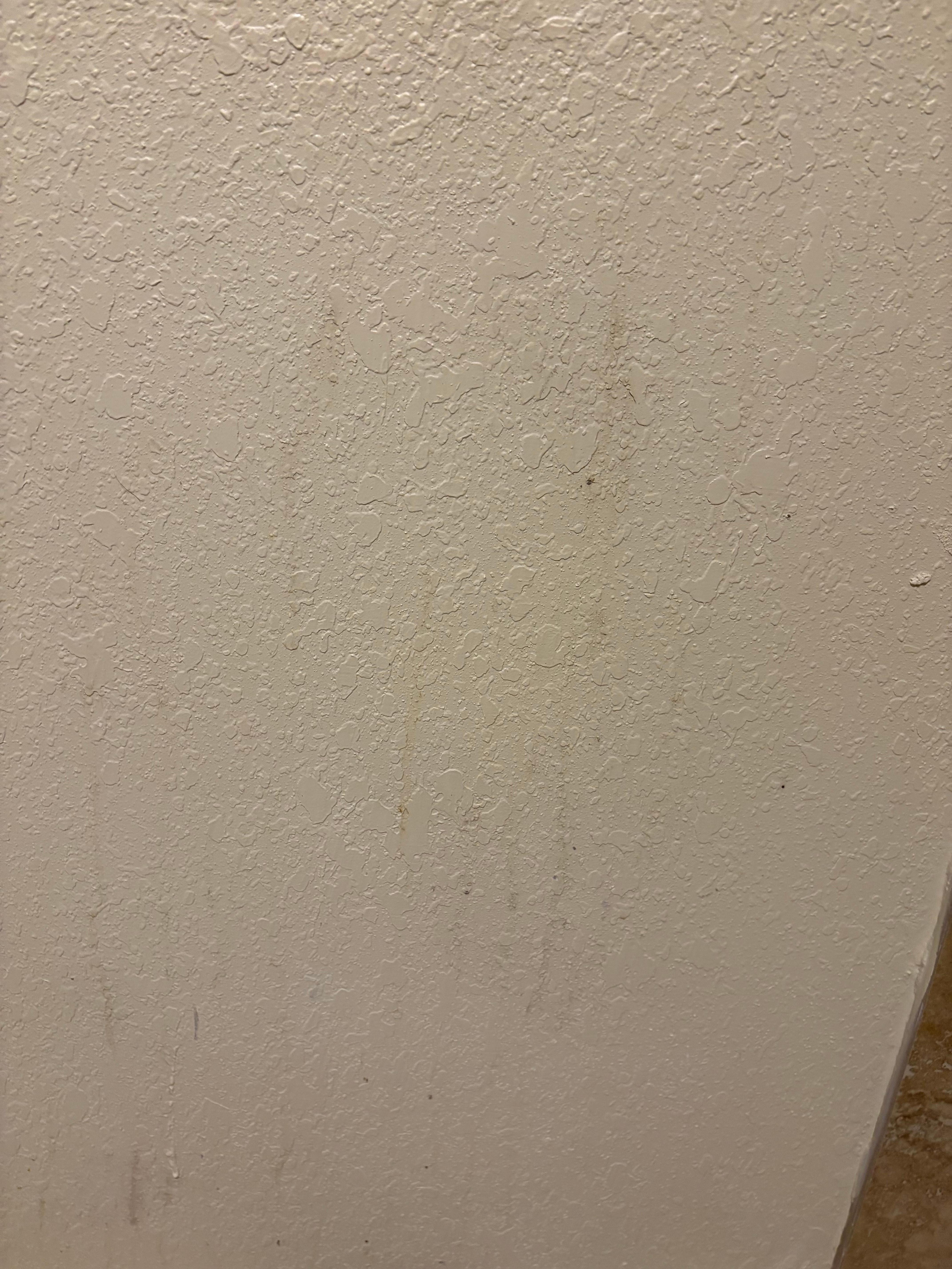 whatever this is on the walls 