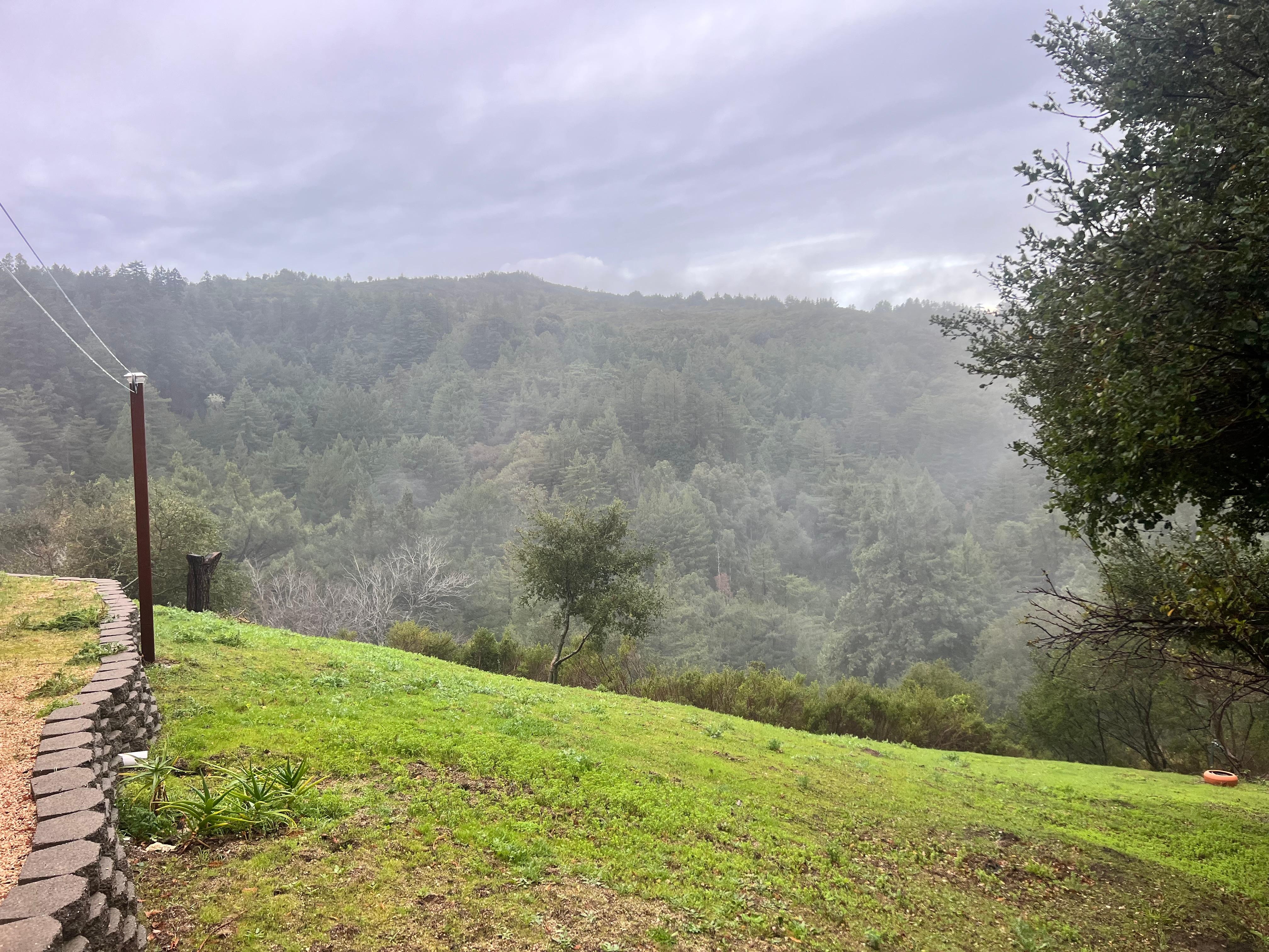 View from near the laundry room.