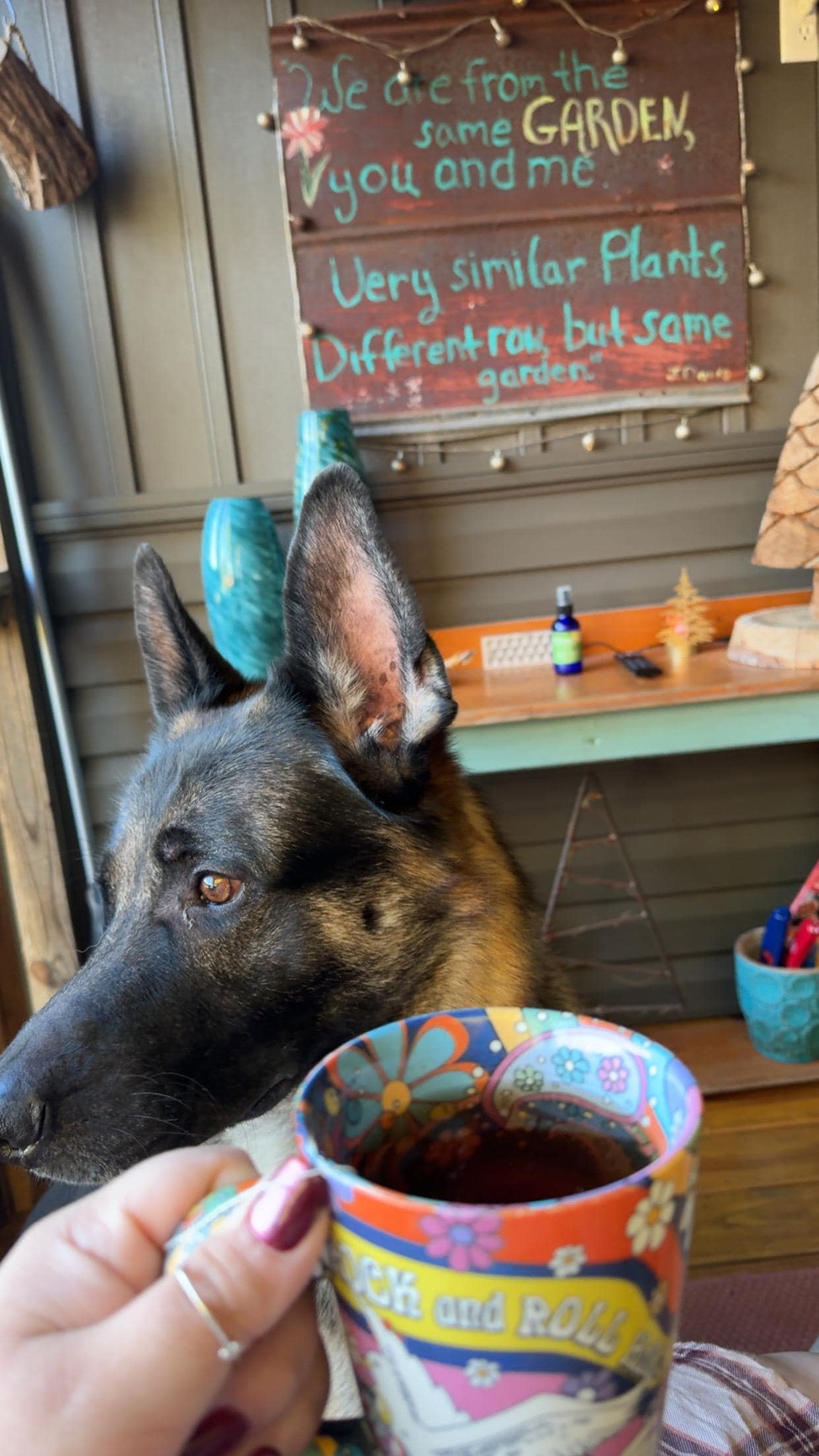 Great start to our morning