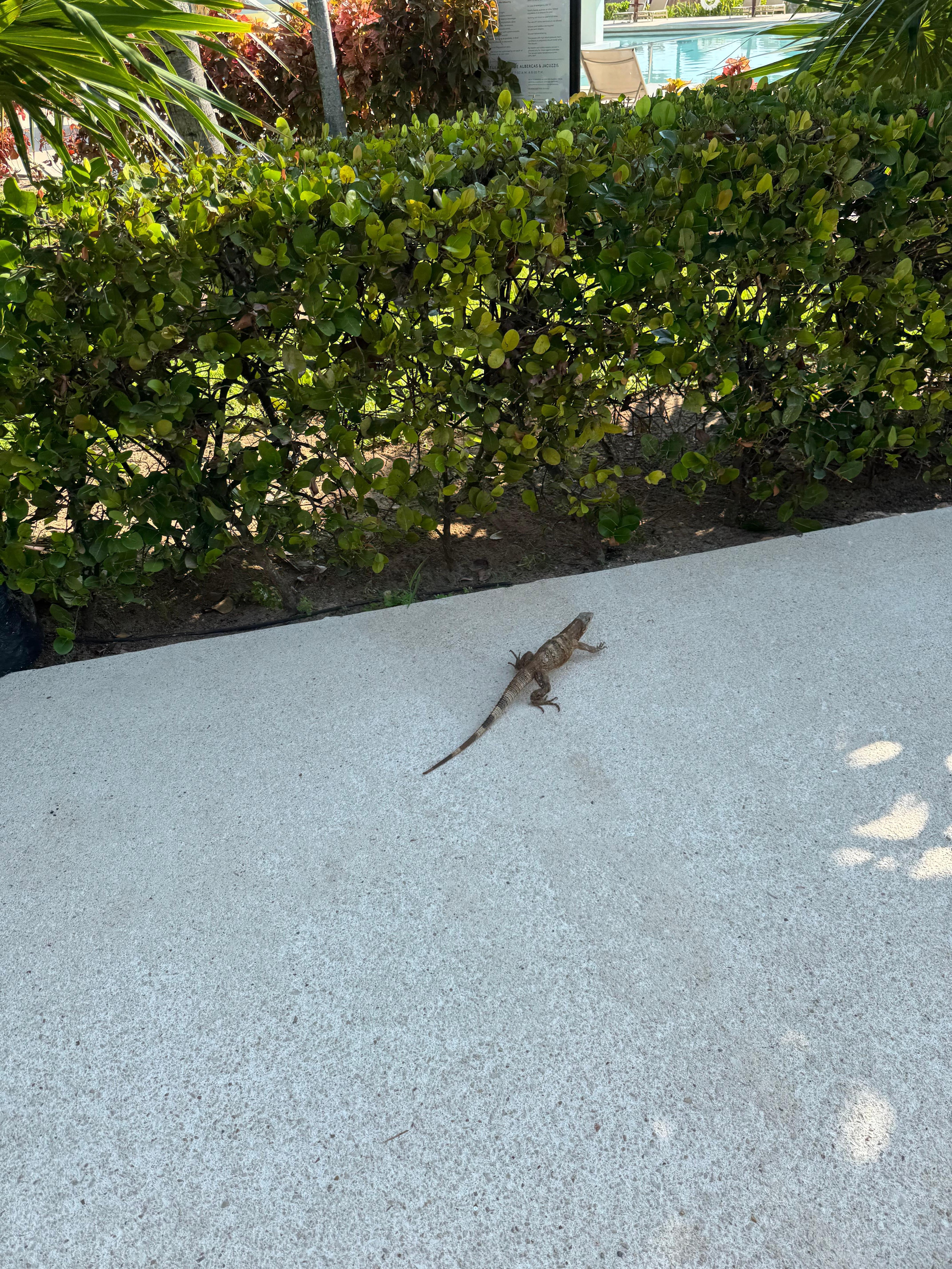Just a visitor
