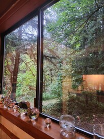 View from the kitchen sink.