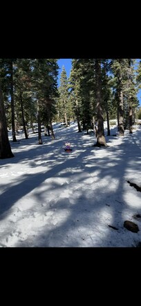 Sled hill behind house. Chair lift swing was great!
