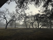 Last morning drinking coffee watching the fog roll away.