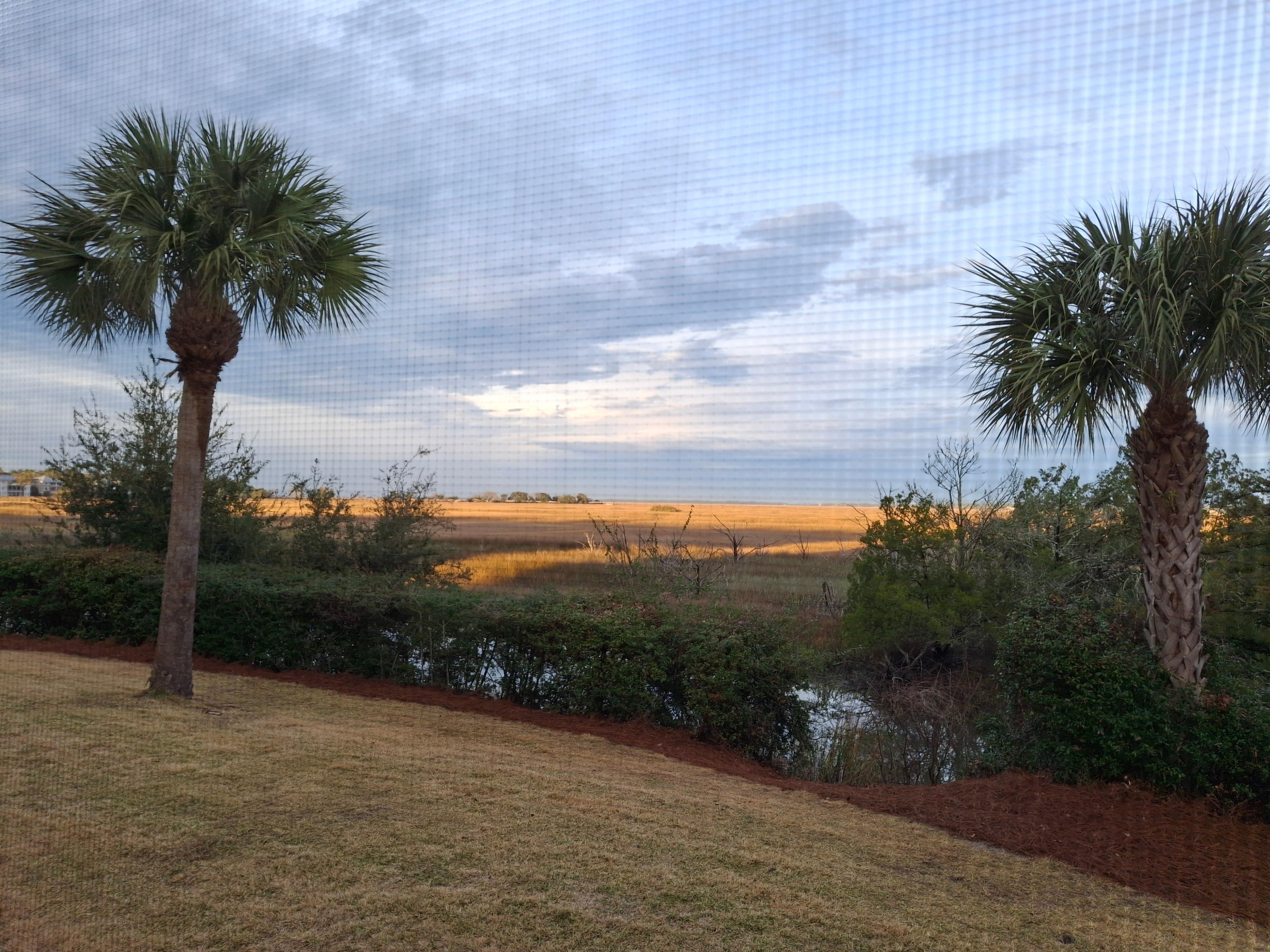 View from the porch.