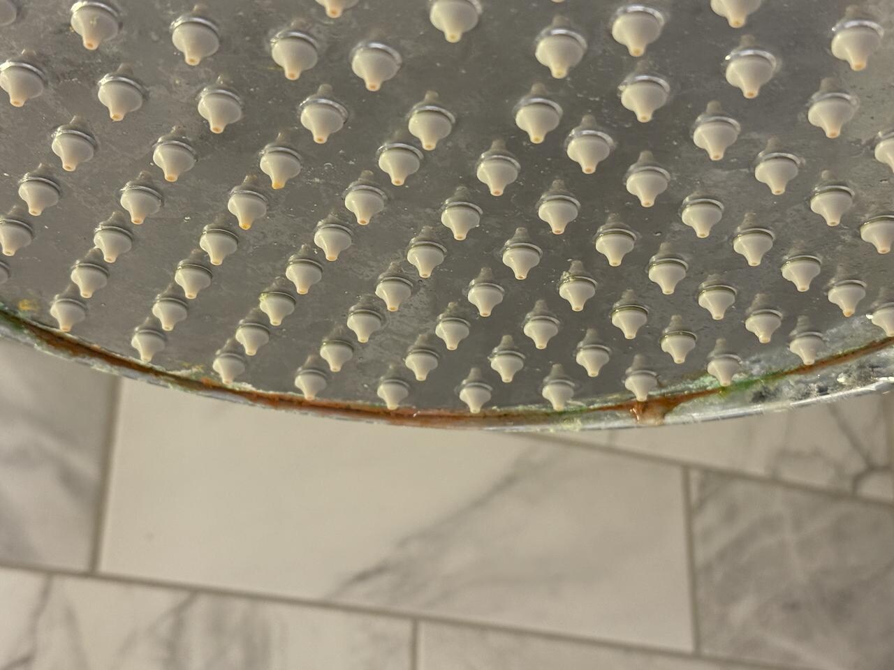 Mildew and lime in shower head