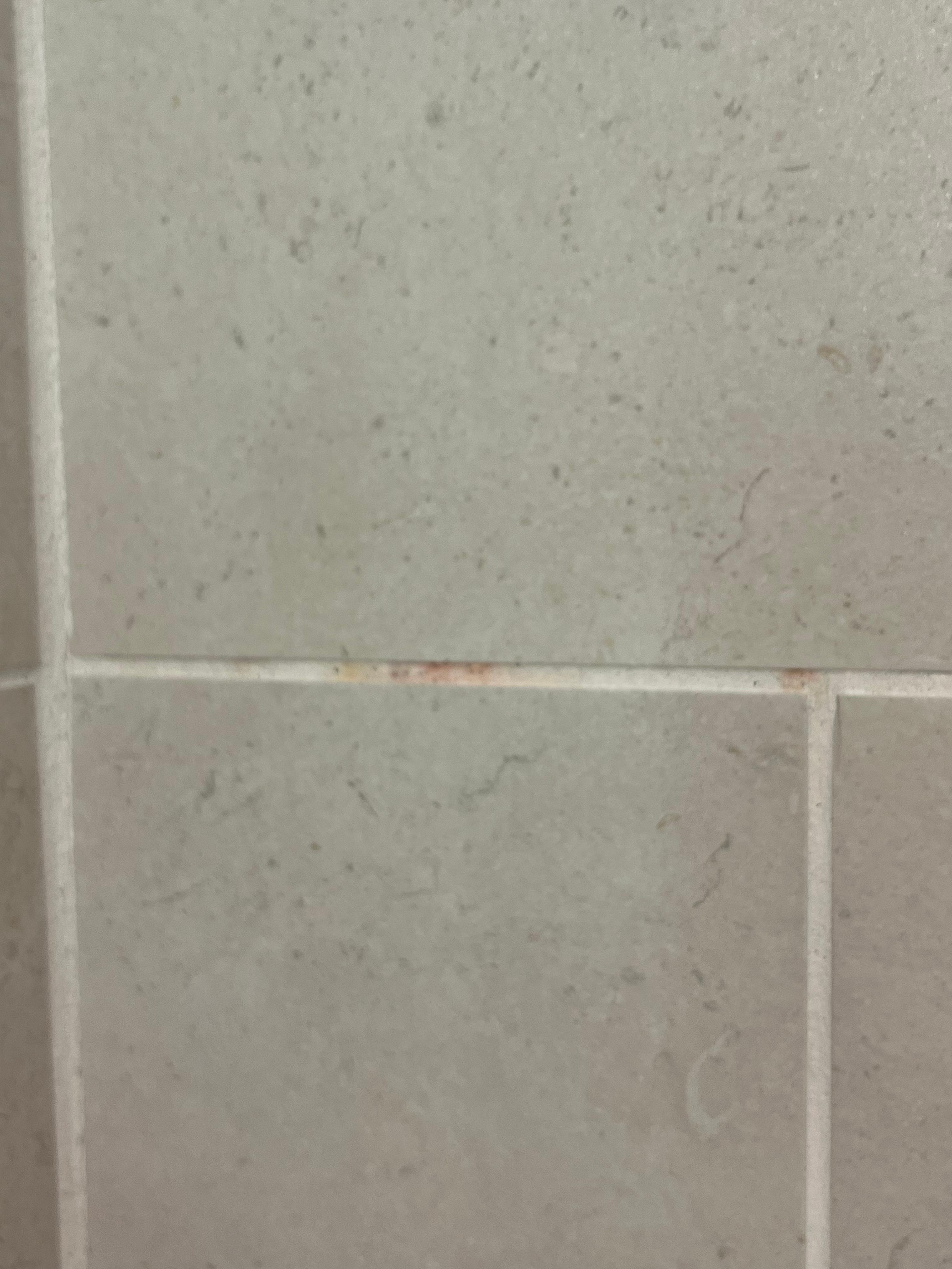 Bathroom mold