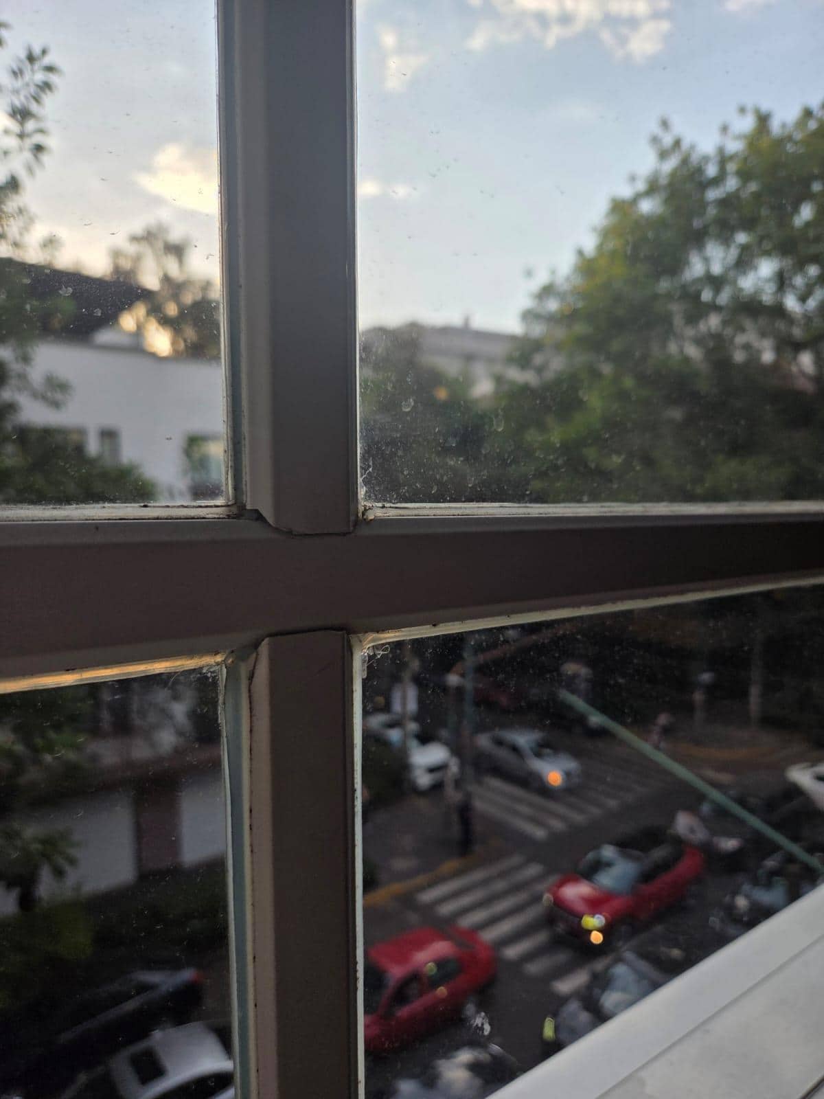 Vista desde la habitación 