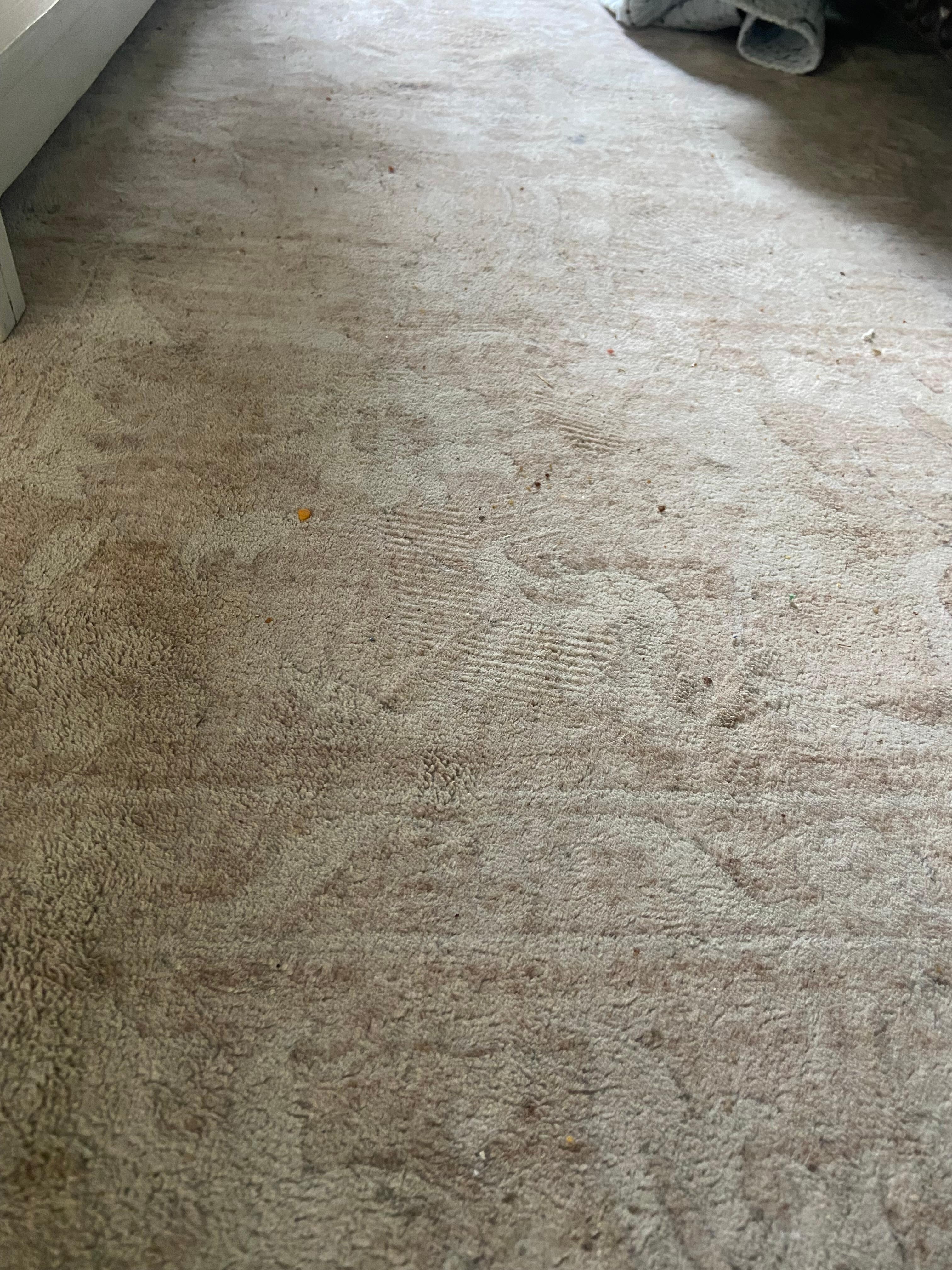 Dirty rugs 