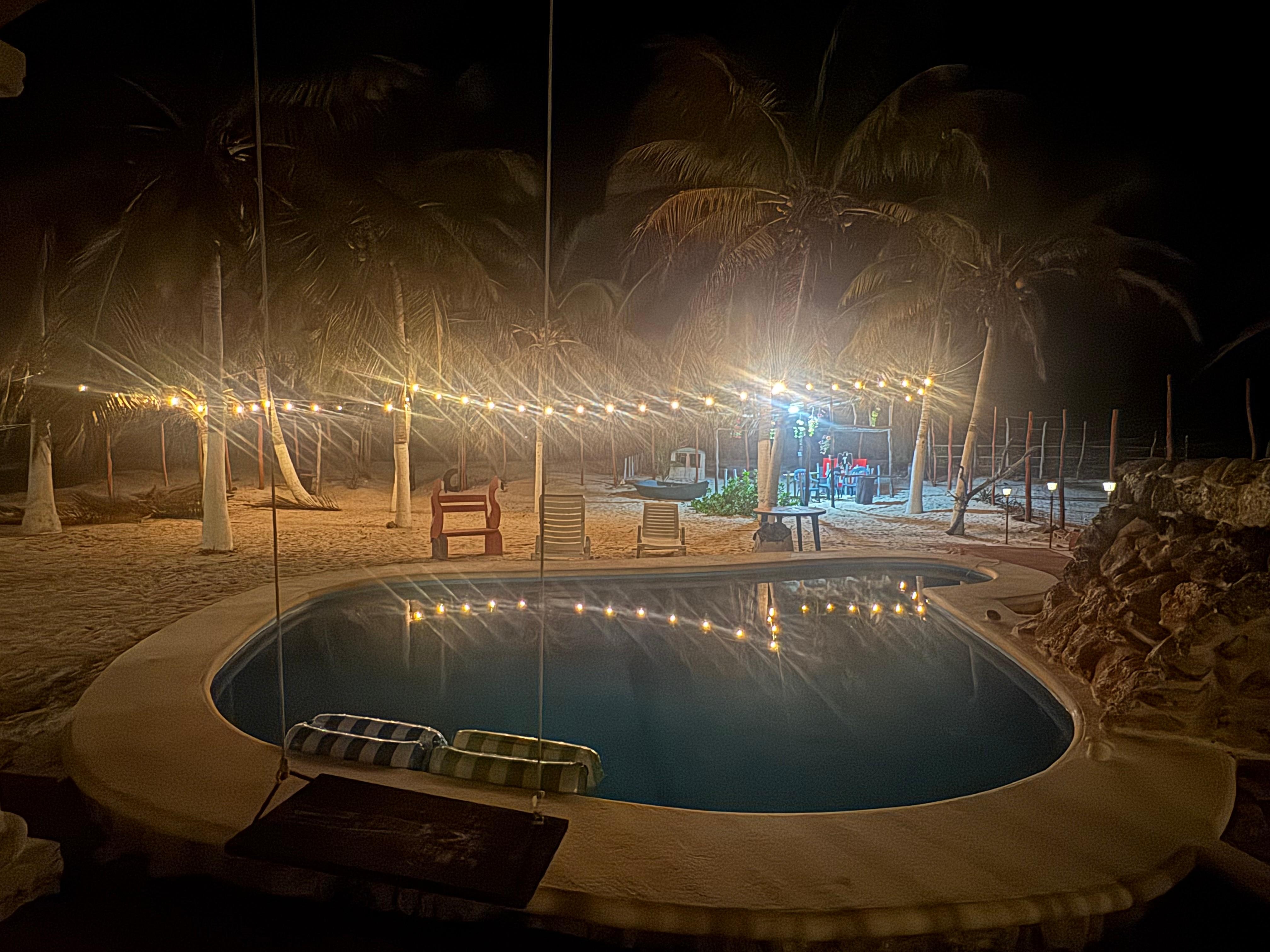 Beautiful evening view of the pool and backyard
