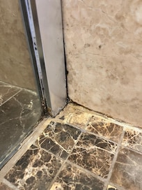 Moldy and dirty showers