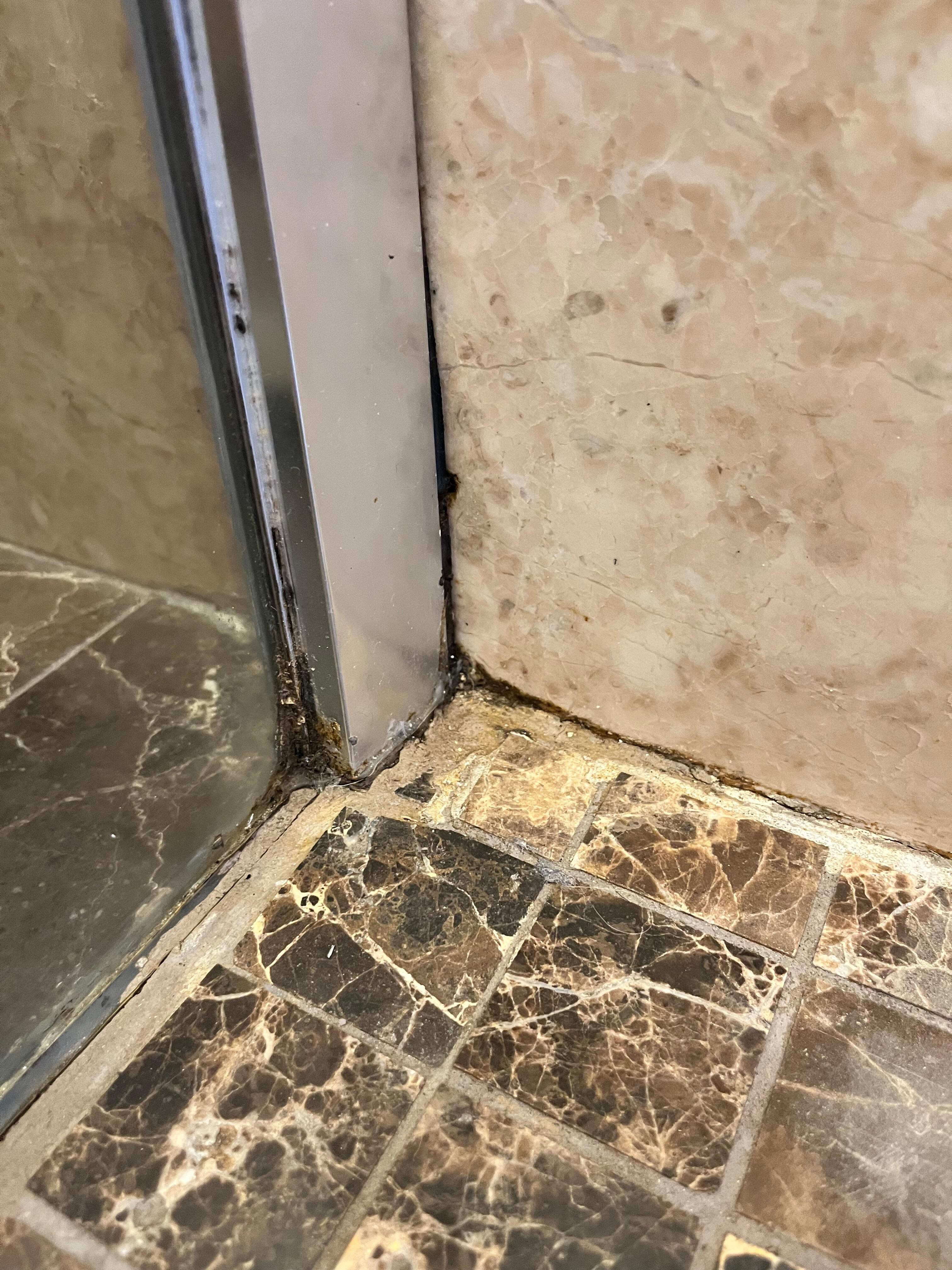 Moldy and dirty showers