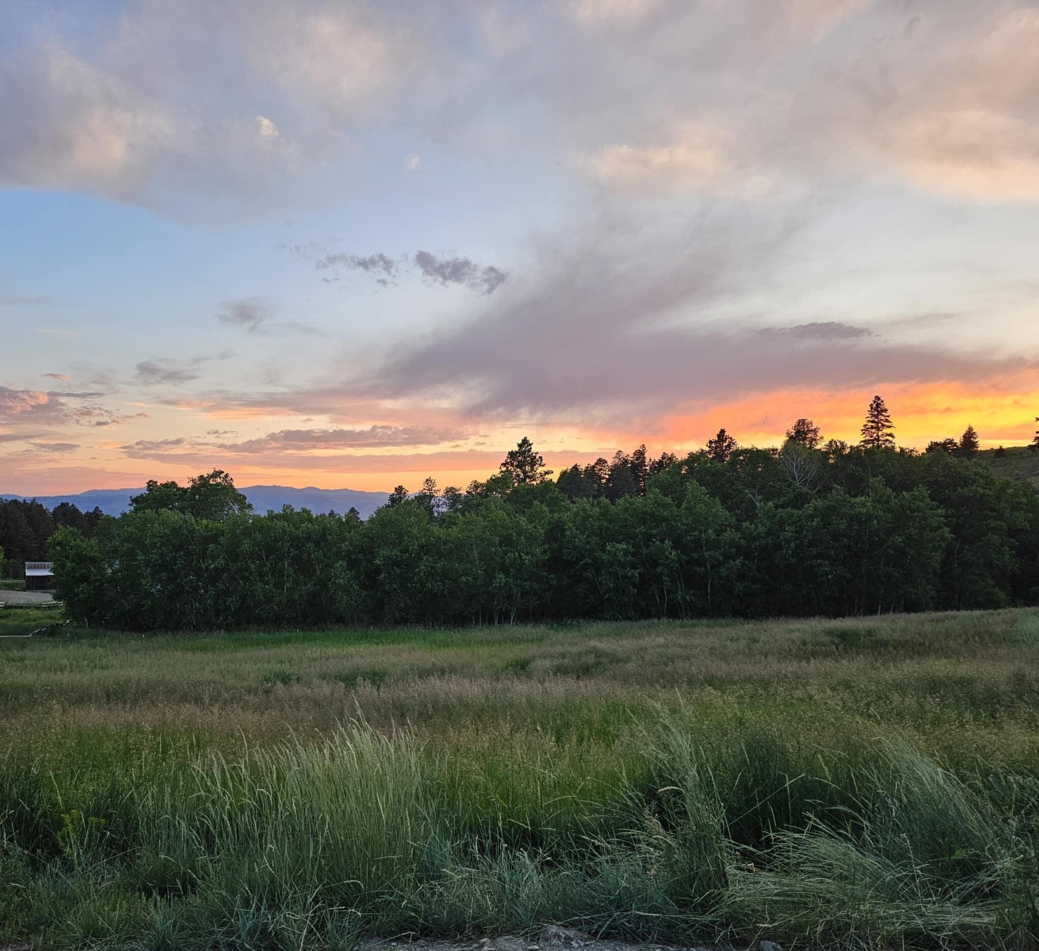 Sunset