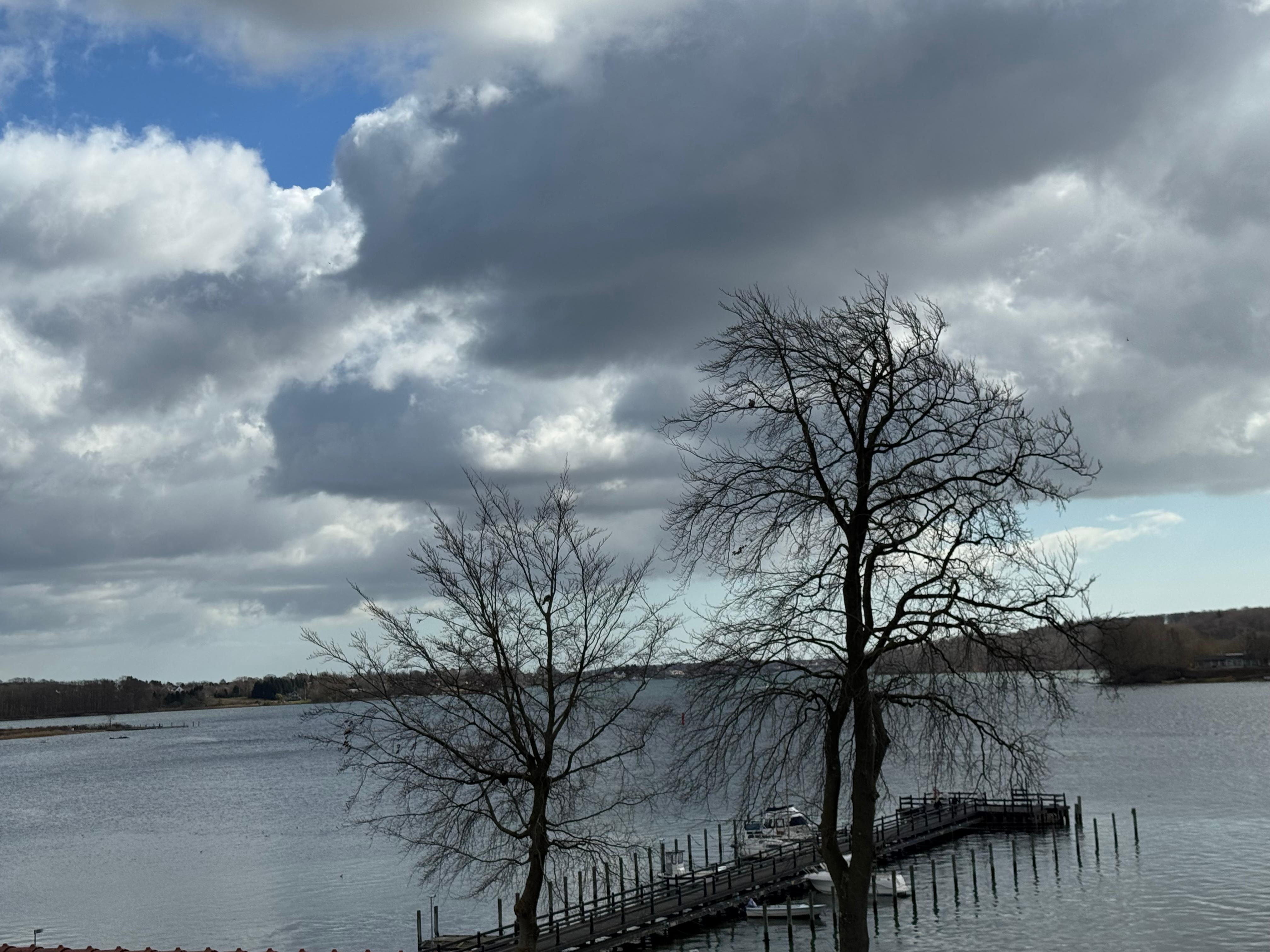 Udsigten fra værelset. 