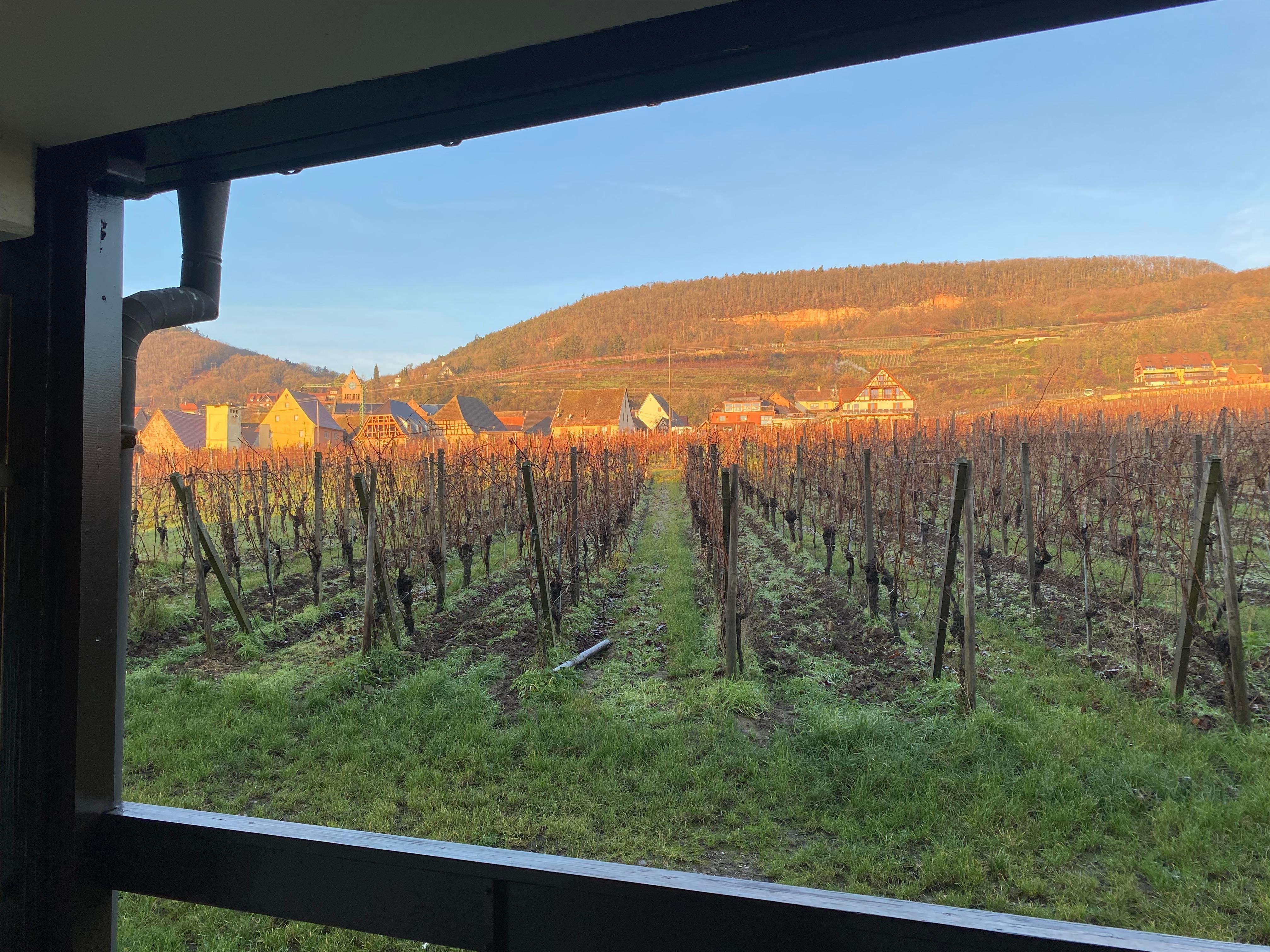 Aussicht von unserem Zimmer