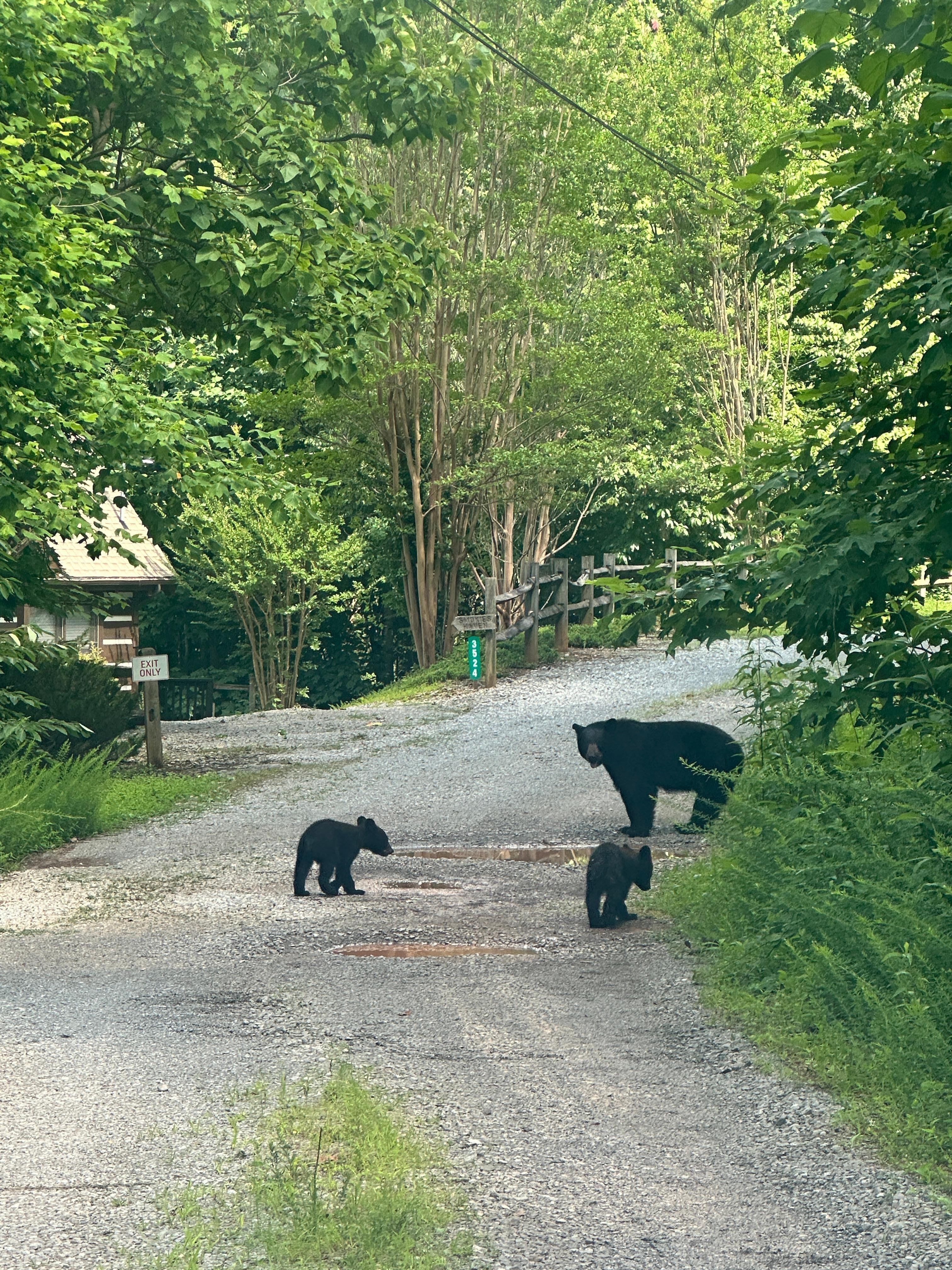 As we entered cabin one afternoon. 