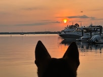Dogs eye view of sunrise.