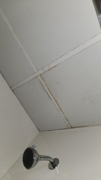 Mold in bathroom