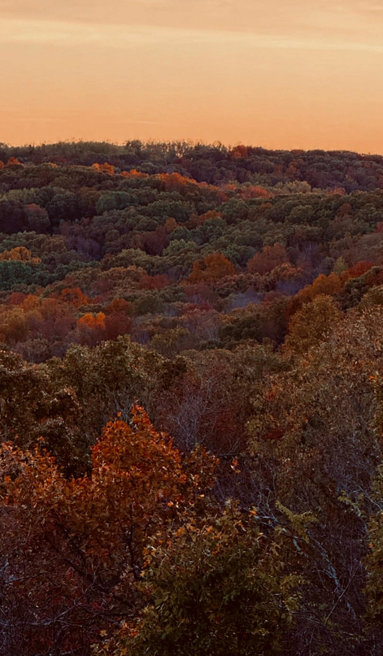 Beautiful views in walking distance 