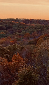 Beautiful views in walking distance