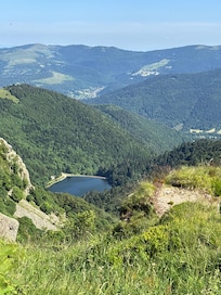Le honeck