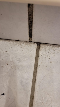 Schimmel bildet sich