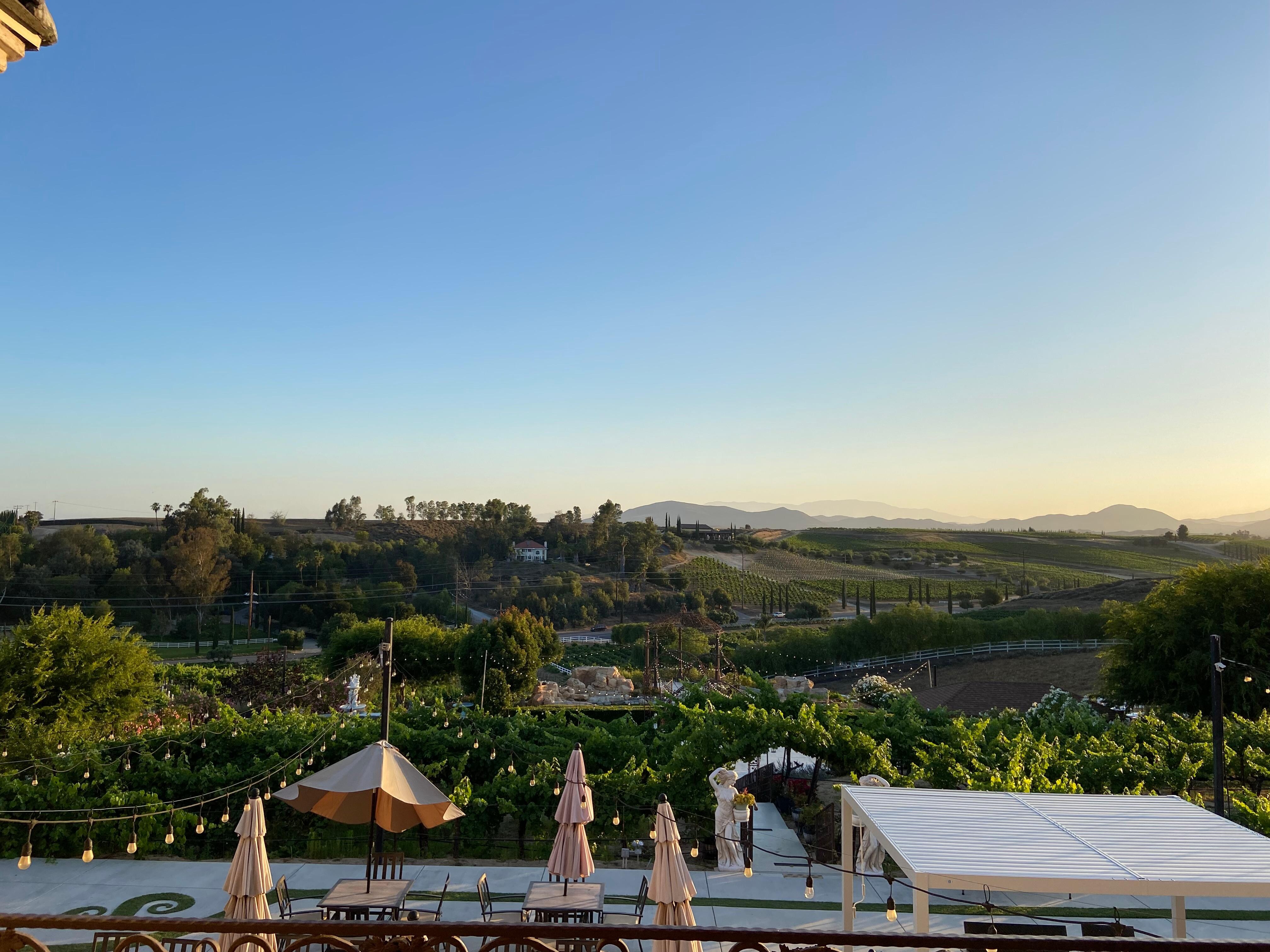 The view from our room with hot air balloons in the background.