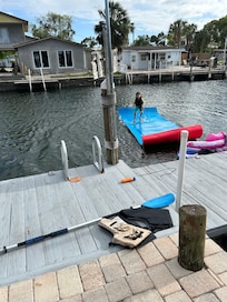 Breaking in the lily pad