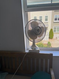 Additional fan we got to attempt to cool the house