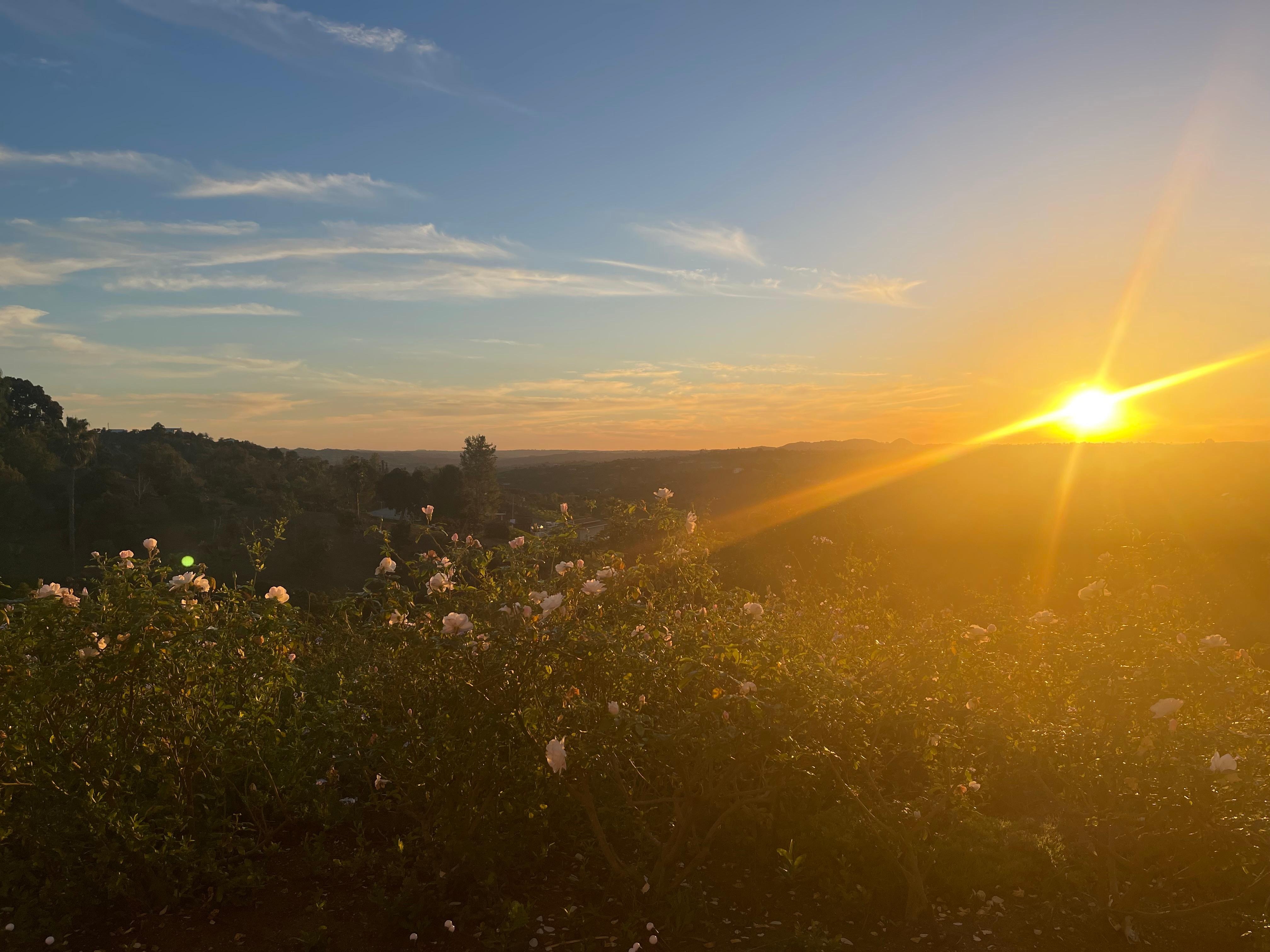 Sunset views from back patio