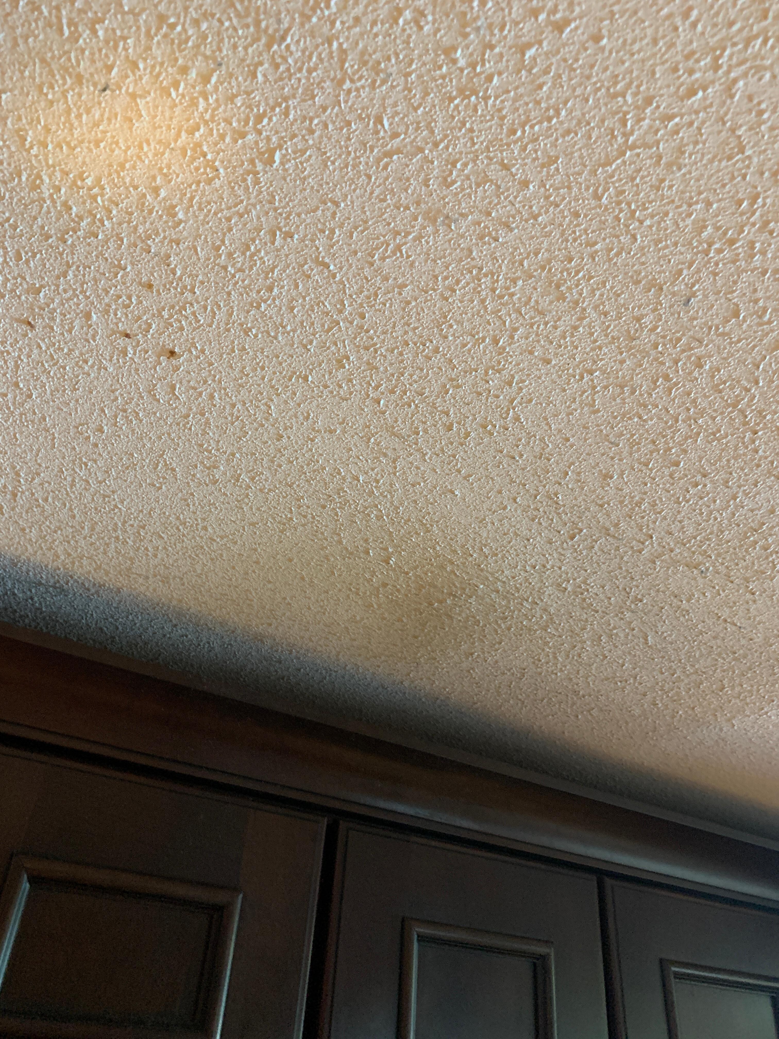 Ceiling above stove 
