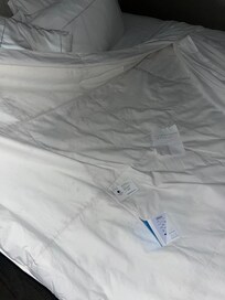 My bed was clean as a whistle when I went to bed.