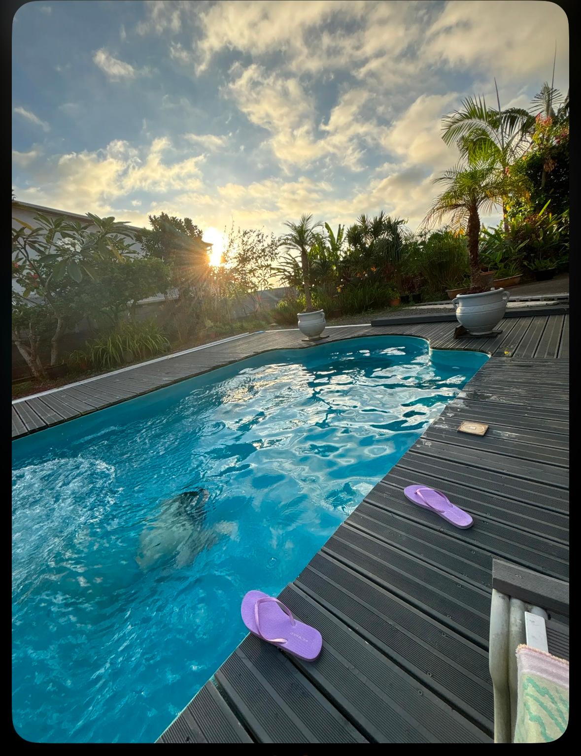 La vue depuis la piscine