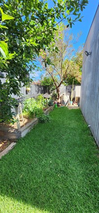 Vegetable garden and chicken coop