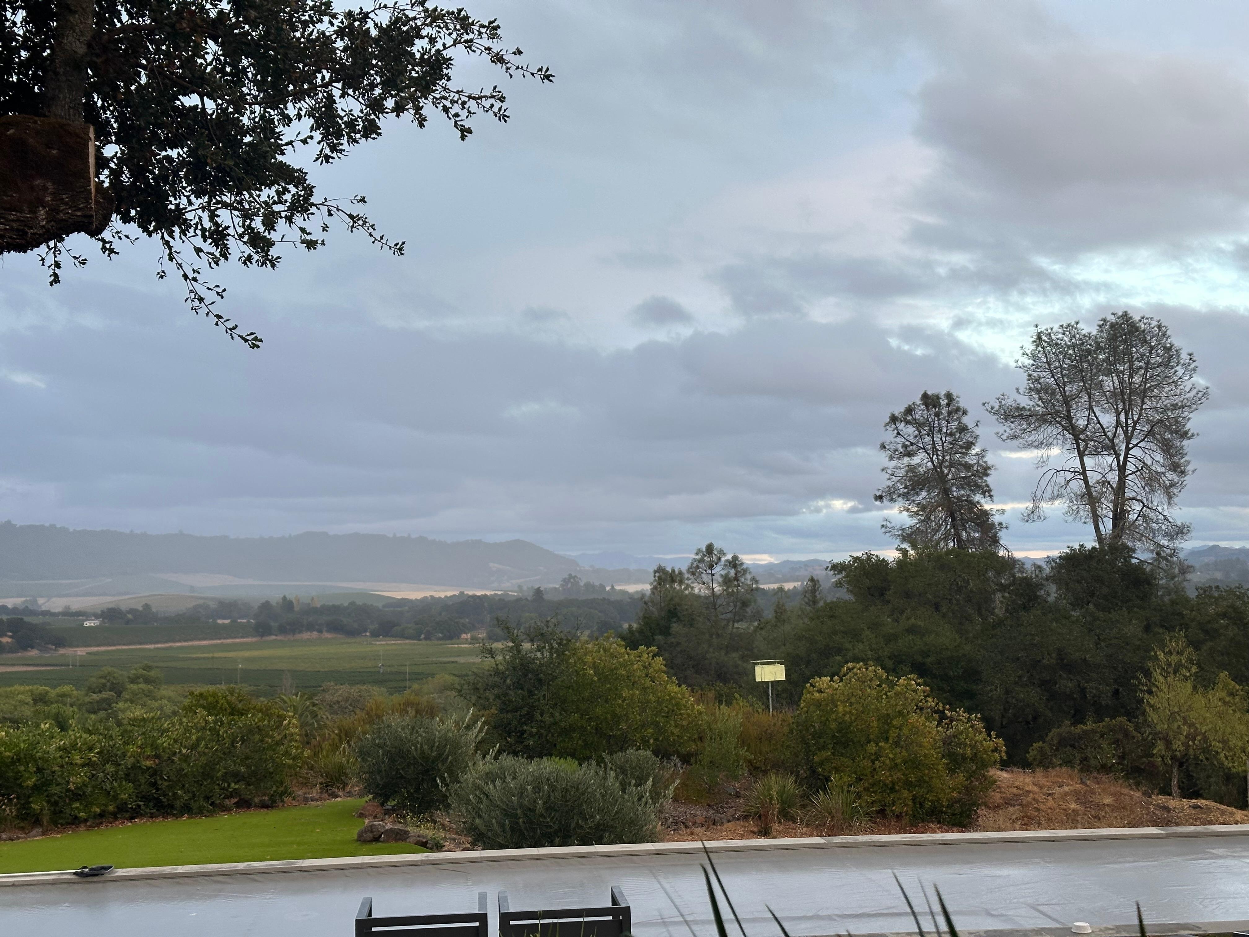 Morning with marine layer.    Burns off early to gorgeous blue sky and amazing vineyard views. 