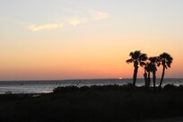 Dr. Julian Bruce St. George Island State Park