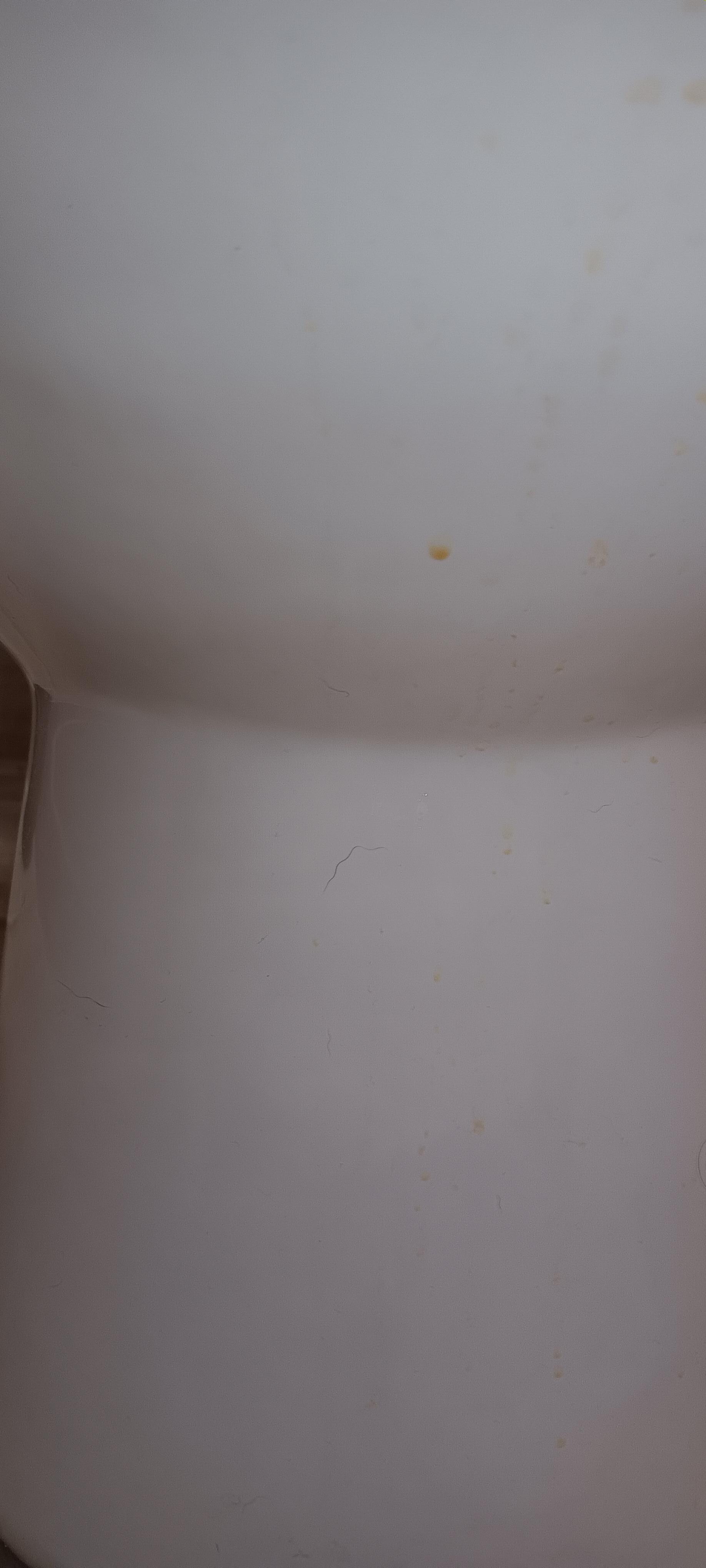 Old urine left on front of toilet bowl. Very strong, nasty odor.