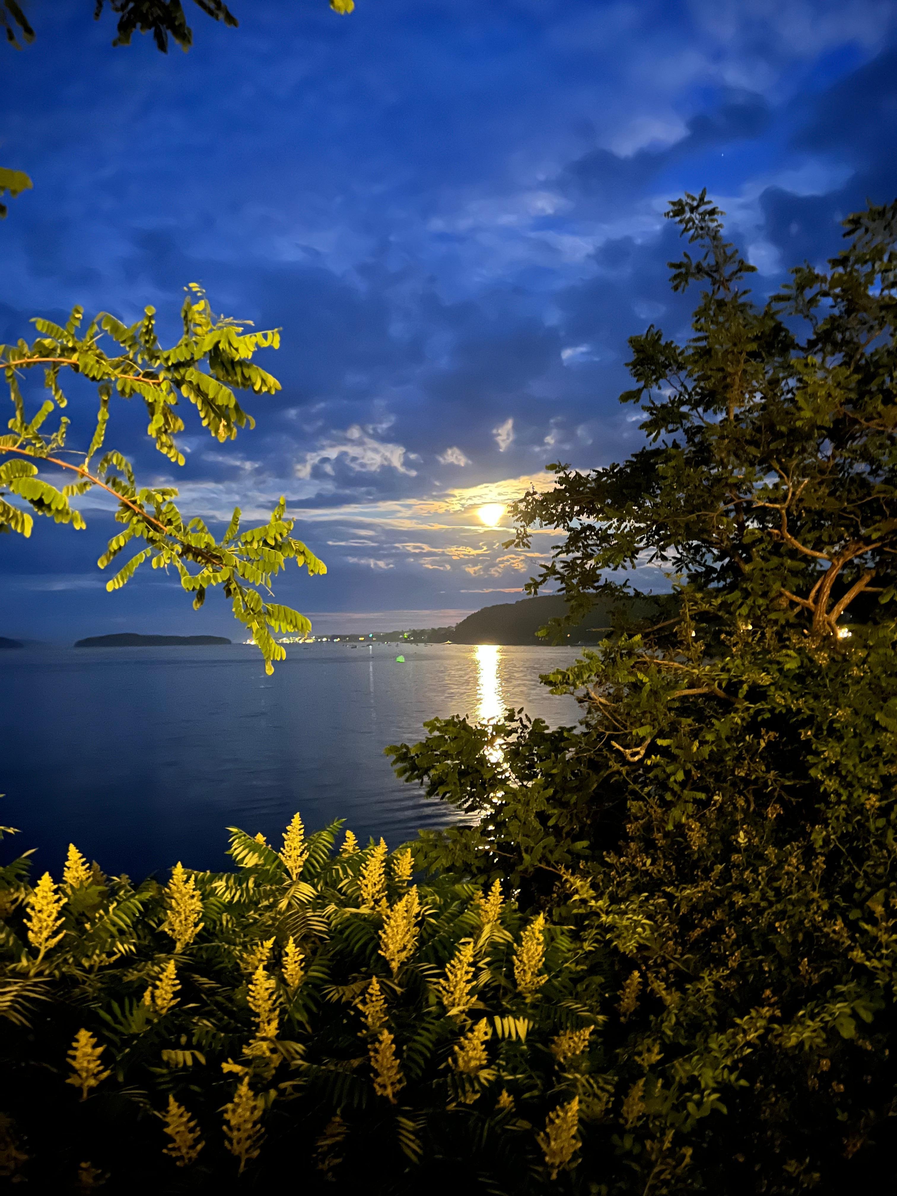 From the deck, the rising moon over the cove with the Bar Harbor city lights in the distance.