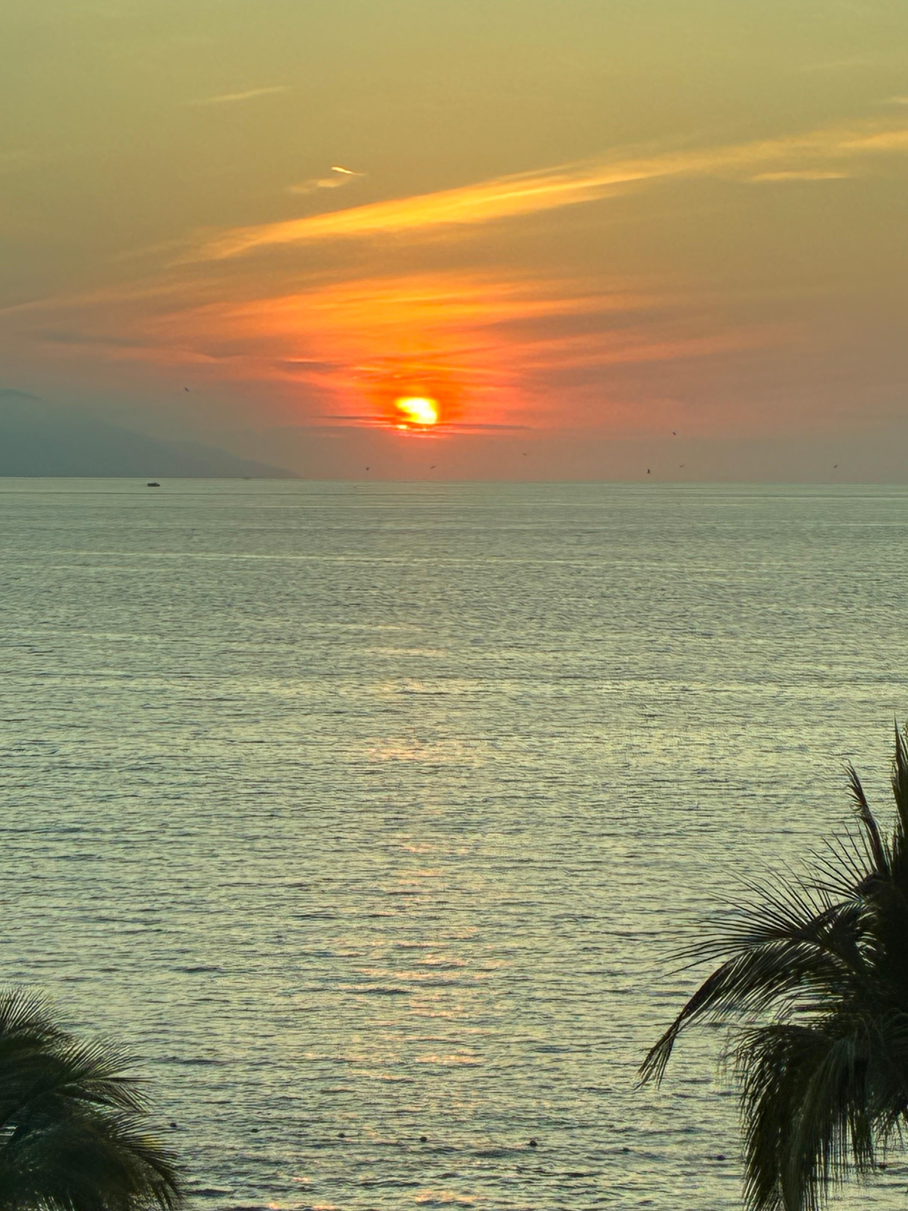 View from our room in the hotel 